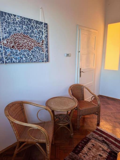 Deep Blue Apartment By The Sea Organs Apartment *
