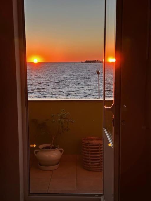Apartma Deep Blue Apartment By The Sea Organs