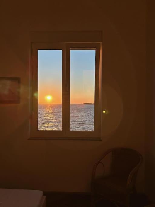 Deep Blue Apartment By The Sea Organs *